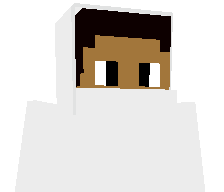 ToxPlaysMC's skin