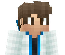 TimurPlayzz's skin
