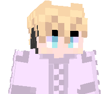 Sponge311's skin