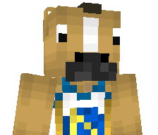NotZerep's skin