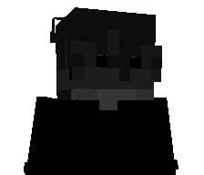 WshVeneco's skin