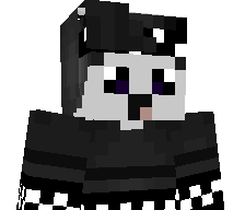 ZipSP's skin