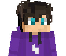 RigvedPlayz's skin