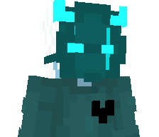 1337_D4mokracja's skin