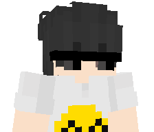 tostu11's skin