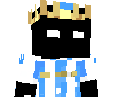 BR1335's skin
