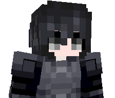 Navigateur's skin
