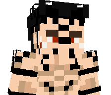 DragonS1ayerGG's skin