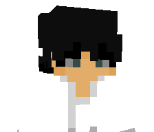 discocup's skin