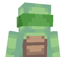 TurtlDash's skin