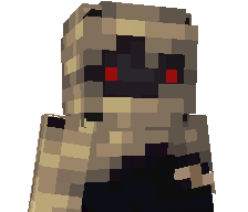 aayj's skin