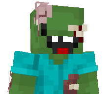 041224c's skin