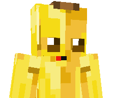 WSkullzyy_'s skin