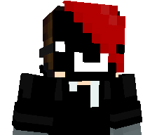 CreeperLJ14's skin