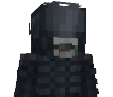 v33rrr's skin