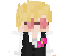 S4ap13n's skin