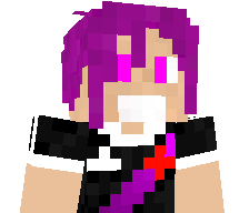 N1craw's skin
