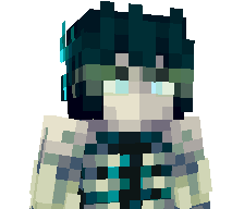 S0m1kz's skin