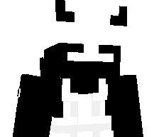 XR9ZZ's skin