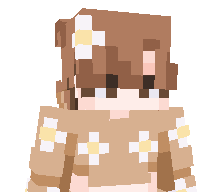 Sylauer's skin