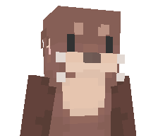 ValorWRLD's skin