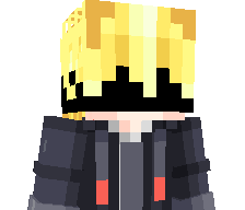 ArKaX_317's skin