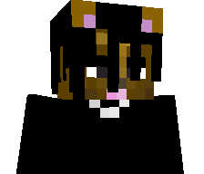 TO0PK4A's skin
