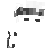 roiyy's skin