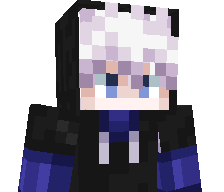 1Blizzard's skin