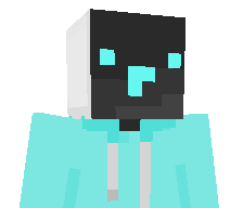 wsei's skin