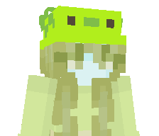 Chealsae's skin