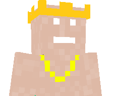 VIZD's skin