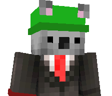 Koalasoup's skin