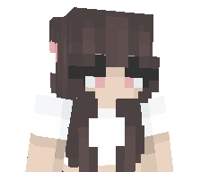 1NVION0IBLE's skin