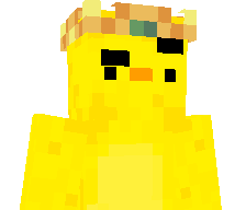 Duckyman711's skin