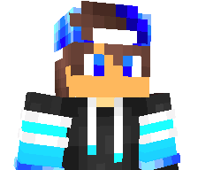 Shp1n4t1k's skin