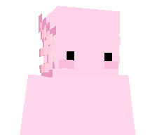 jspquoimettre_'s skin