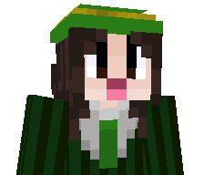 213c's skin