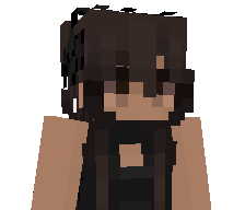 fraudesfiscales's skin