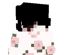 dxieless's skin