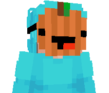 xChris__'s skin