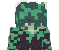 enviime's skin