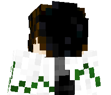Sh1ngero's skin