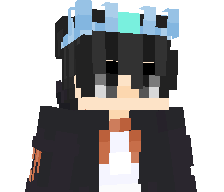 notpokee's skin