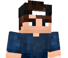 bestshw's skin