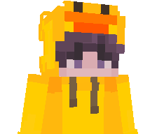 ordek_paytk's skin