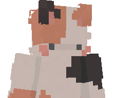 UtkuNoobie's skin