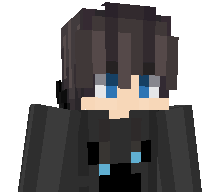 Toxxiczzz's skin