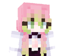 iwuhacat's skin