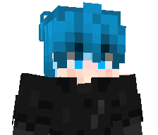 Void1s's skin
